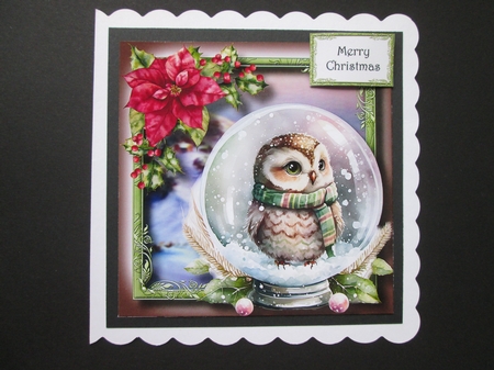 Gorgeous Owl Snowglobe 1 8x8 by BELINDA ABRAHAM