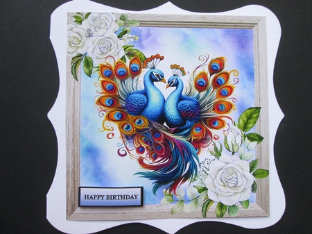Beautiful Peacocks  With  White Roses 4  8x8 Card Fronts Mini Kit by BELINDA ABRAHAM