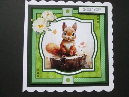 Woodland Critters 8x8 Quick Cards Bumper Kit by BELINDA ABRAHAM