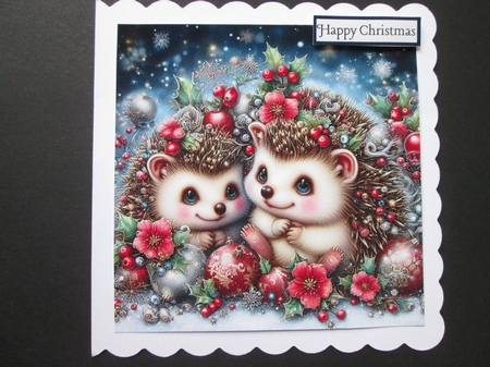 Whimsical Christmas Headgehogs  by BELINDA ABRAHAM