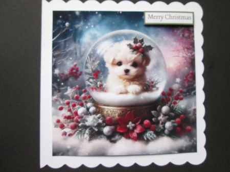 Snow Globe Puppies by BELINDA ABRAHAM