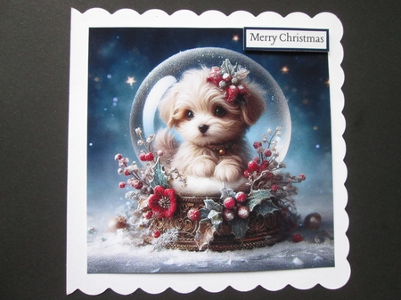 Snow Globe Puppies by BELINDA ABRAHAM