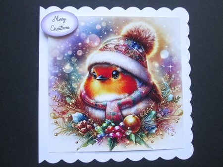 Christmas Hat & Scarf Robin by BELINDA ABRAHAM