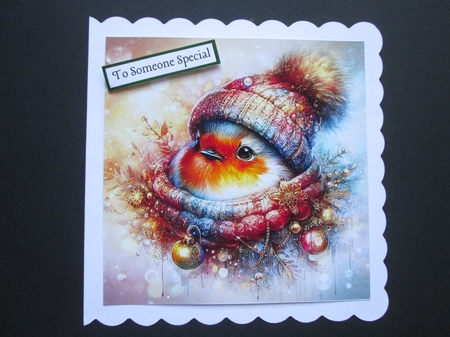 Christmas Hat & Scarf Robin by BELINDA ABRAHAM