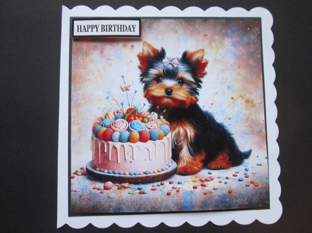 Yorkie Birthday pups by BELINDA ABRAHAM