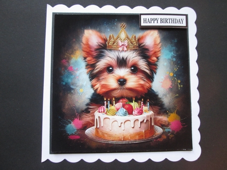 Yorkie Birthday pups by BELINDA ABRAHAM