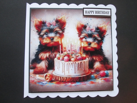 Yorkie Birthday pups by BELINDA ABRAHAM
