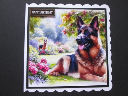 Summer Garden Dog 1 by BELINDA ABRAHAM