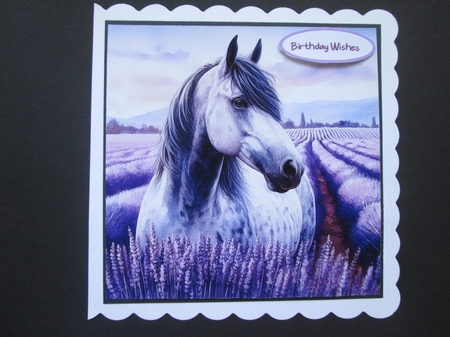Lavender Dreams  Horses by BELINDA ABRAHAM