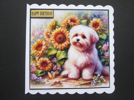 Sunflower Puppydogs by BELINDA ABRAHAM