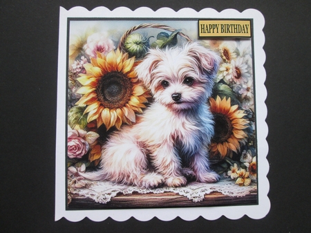 Sunflower Puppydogs by BELINDA ABRAHAM