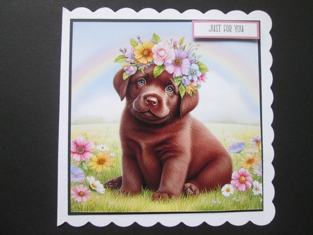 Flower Crown Chocolate Lab by BELINDA ABRAHAM