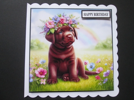 Flower Crown Chocolate Lab by BELINDA ABRAHAM