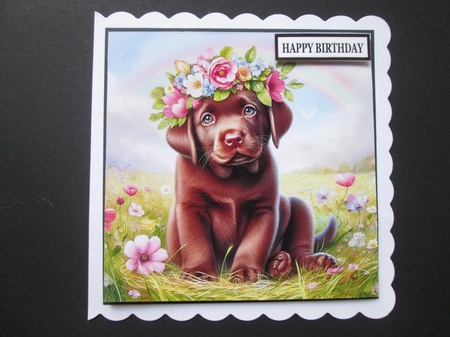 Flower Crown Chocolate Lab by BELINDA ABRAHAM