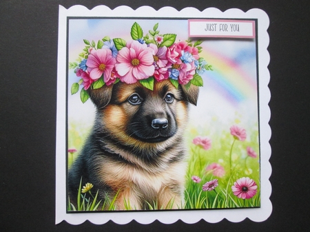 Flower Crown German Shepherd by BELINDA ABRAHAM