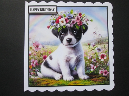 Flower Crown Jack Russell  by BELINDA ABRAHAM