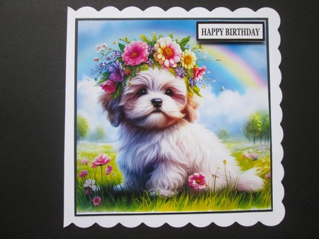 Flower Crown Lhasa Apso by BELINDA ABRAHAM