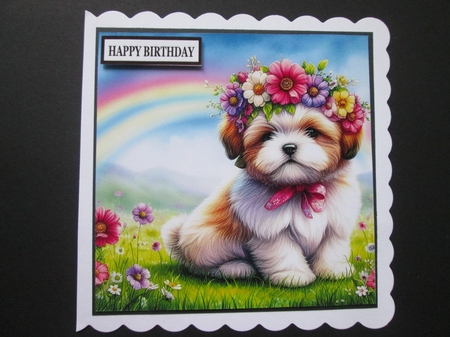 Flower Crown Lhasa Apso by BELINDA ABRAHAM