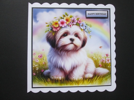 Flower Crown Lhasa Apso by BELINDA ABRAHAM