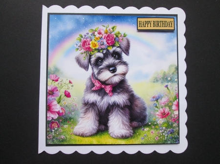 Flower Crown Schnauzer Pup  by BELINDA ABRAHAM