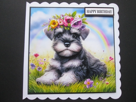 Flower Crown Schnauzer Pup  by BELINDA ABRAHAM