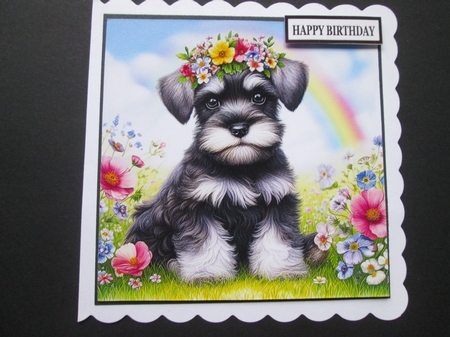 Flower Crown Schnauzer Pup  by BELINDA ABRAHAM