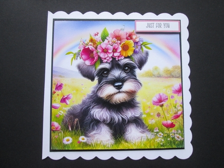 Flower Crown Schnauzer Pup  by BELINDA ABRAHAM