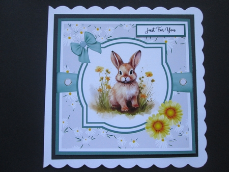 Springtime Baby Animals 8x8 Card Front Bumper Kit by BELINDA ABRAHAM