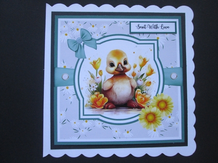 Springtime Baby Animals 8x8 Card Front Bumper Kit by BELINDA ABRAHAM