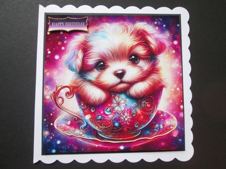 Colourful Teacup pups by BELINDA ABRAHAM