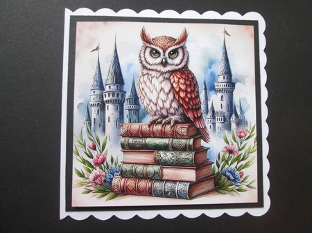Castle Owl  by BELINDA ABRAHAM