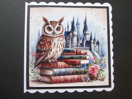 Castle Owl  by BELINDA ABRAHAM