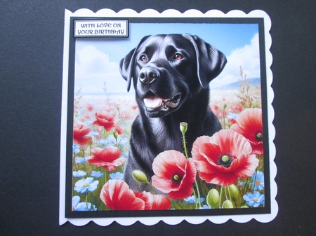 Poppy Field Mix 3 by BELINDA ABRAHAM
