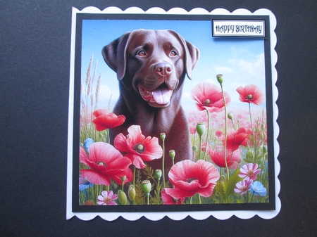Poppy Field Mix 3 by BELINDA ABRAHAM
