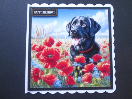 Poppy Field Mix 3 by BELINDA ABRAHAM