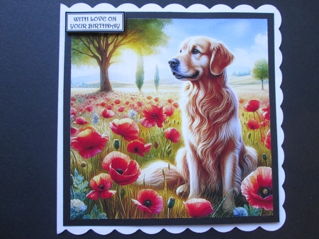  Golden Retriver Poppy Field  by BELINDA ABRAHAM
