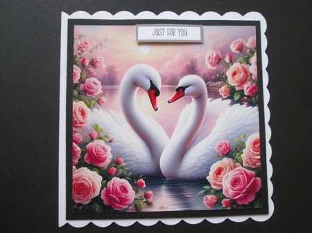 Beautiful Swans by BELINDA ABRAHAM