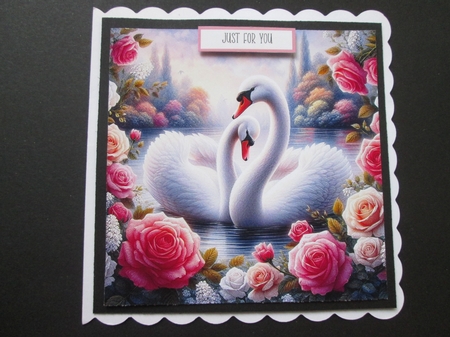 Beautiful Swans by BELINDA ABRAHAM