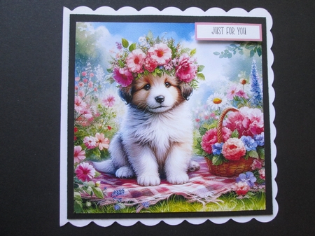 Floral Crown  Puppy 2 by BELINDA ABRAHAM