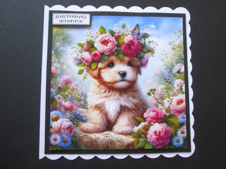 Floral Crown  Puppy 2 by BELINDA ABRAHAM