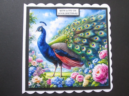 Beautiful Peacocks by BELINDA ABRAHAM