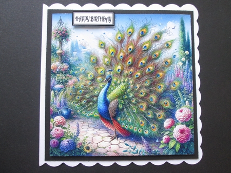 Beautiful Peacocks by BELINDA ABRAHAM