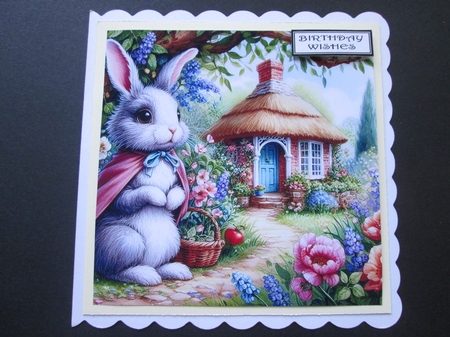 Garden Rabbit 1 by BELINDA ABRAHAM