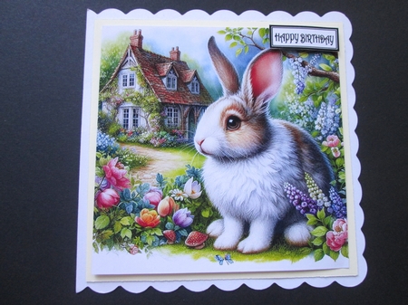 Garden Rabbit 1 by BELINDA ABRAHAM