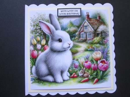 Garden Rabbit 1 by BELINDA ABRAHAM