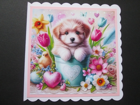 Floral Spring Pup 1 by BELINDA ABRAHAM