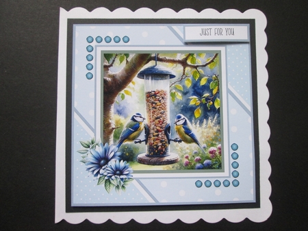 Feeding the Birds 8x8 Card Front Bumper Kit by BELINDA ABRAHAM