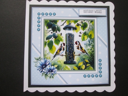 Feeding the Birds 8x8 Card Front Bumper Kit by BELINDA ABRAHAM
