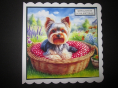 Summer Days Dogs 3 by BELINDA ABRAHAM