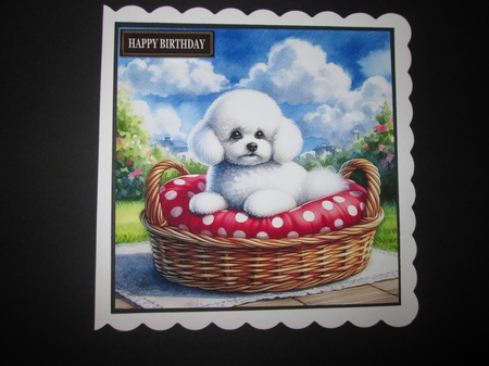 Summer Days Dogs 3 by BELINDA ABRAHAM